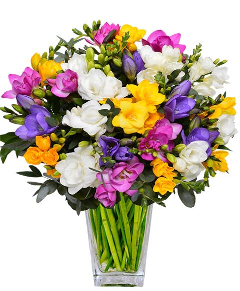 Bouquet