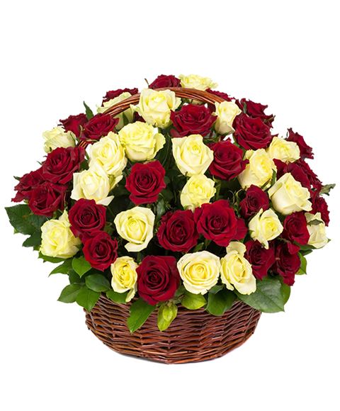 Mazzo Di Rose Rosse E Bianche : Cuore Di Rose Rosse E Bianche Fiori Per San Valentino A Busto Arsizio : Bunch of beautiful red roses isolated on a white background with clipping path.