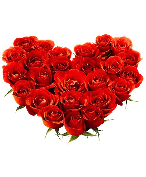 Cuore