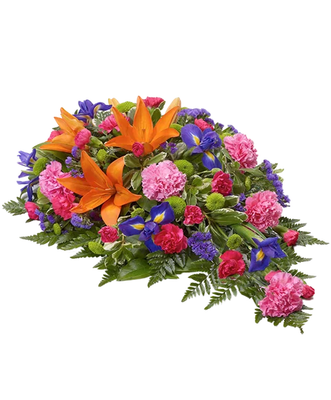 Cuscino