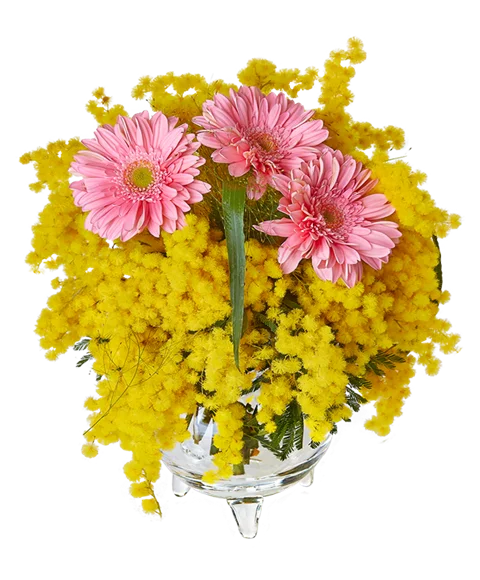 Bouquet mimosa