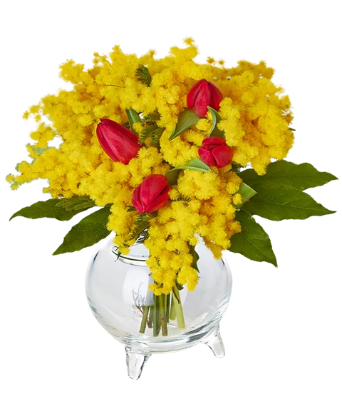 Bouquet di mimosa