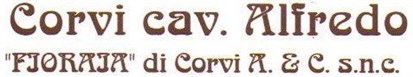 homepage FIORAIA di Corvi e C. Snc